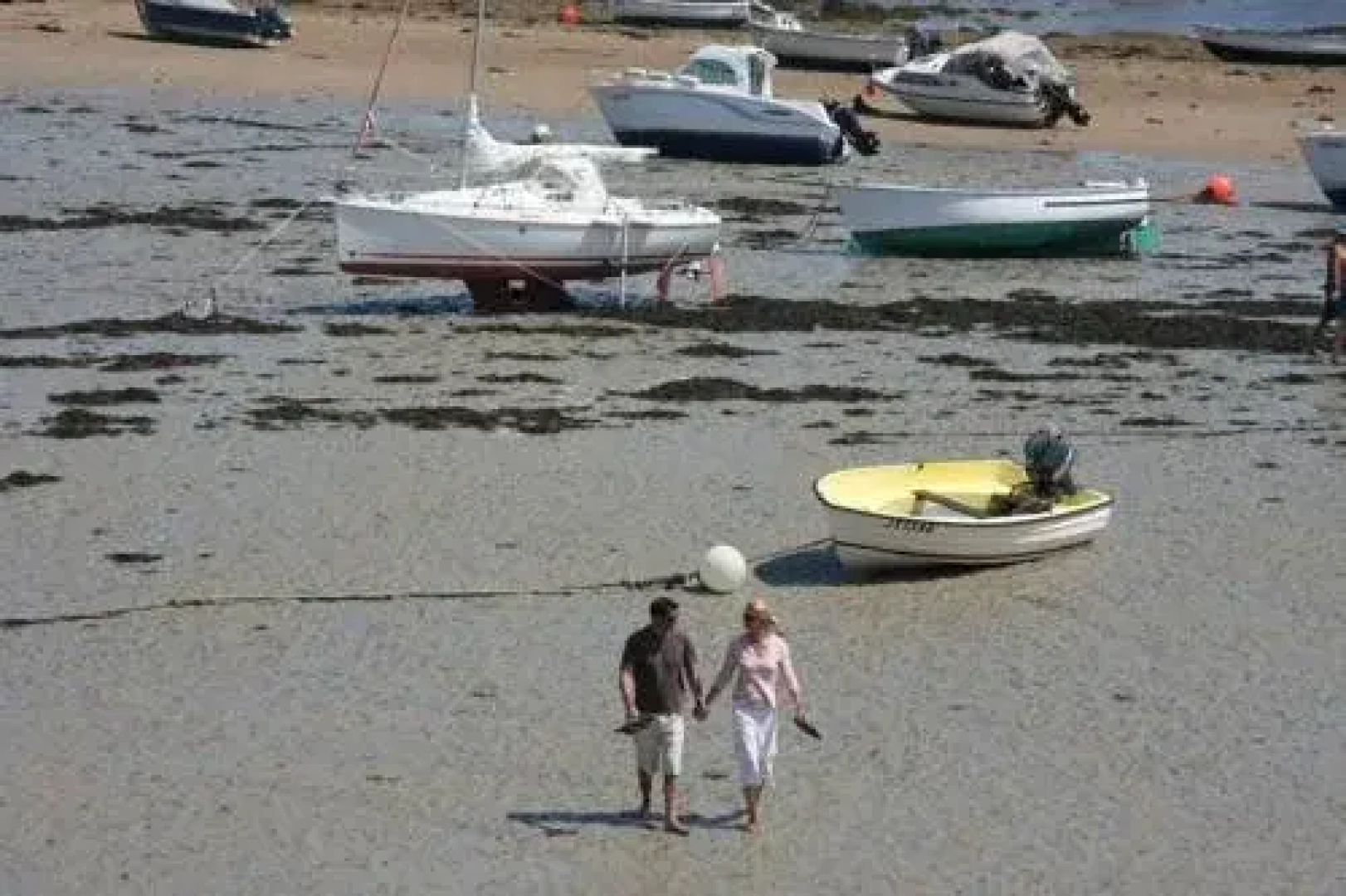 Shakespeare Coastal Hotel