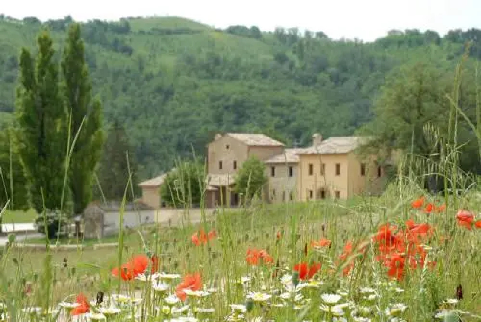 Agriturismo Verziere