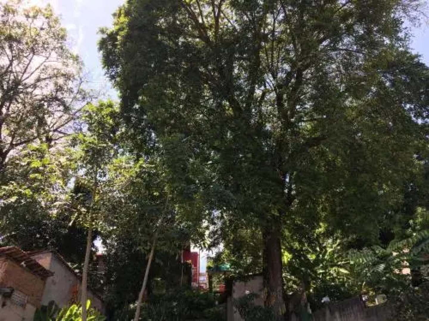 Casa de São Bento Hostel