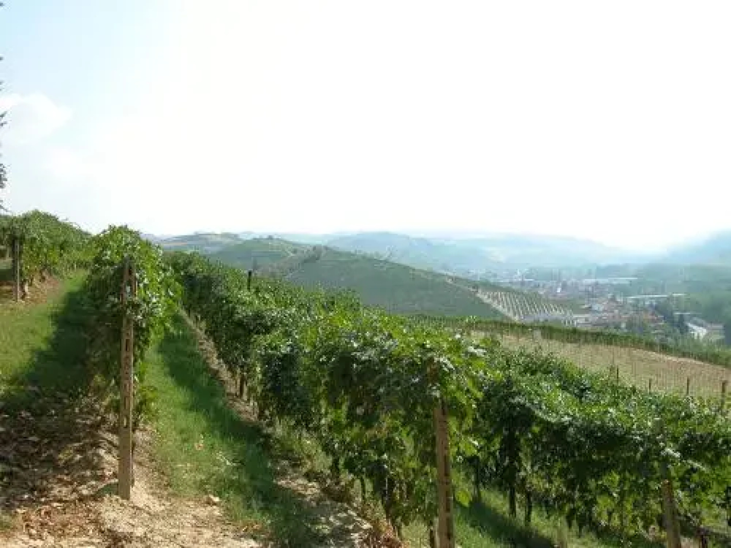 La Briccola