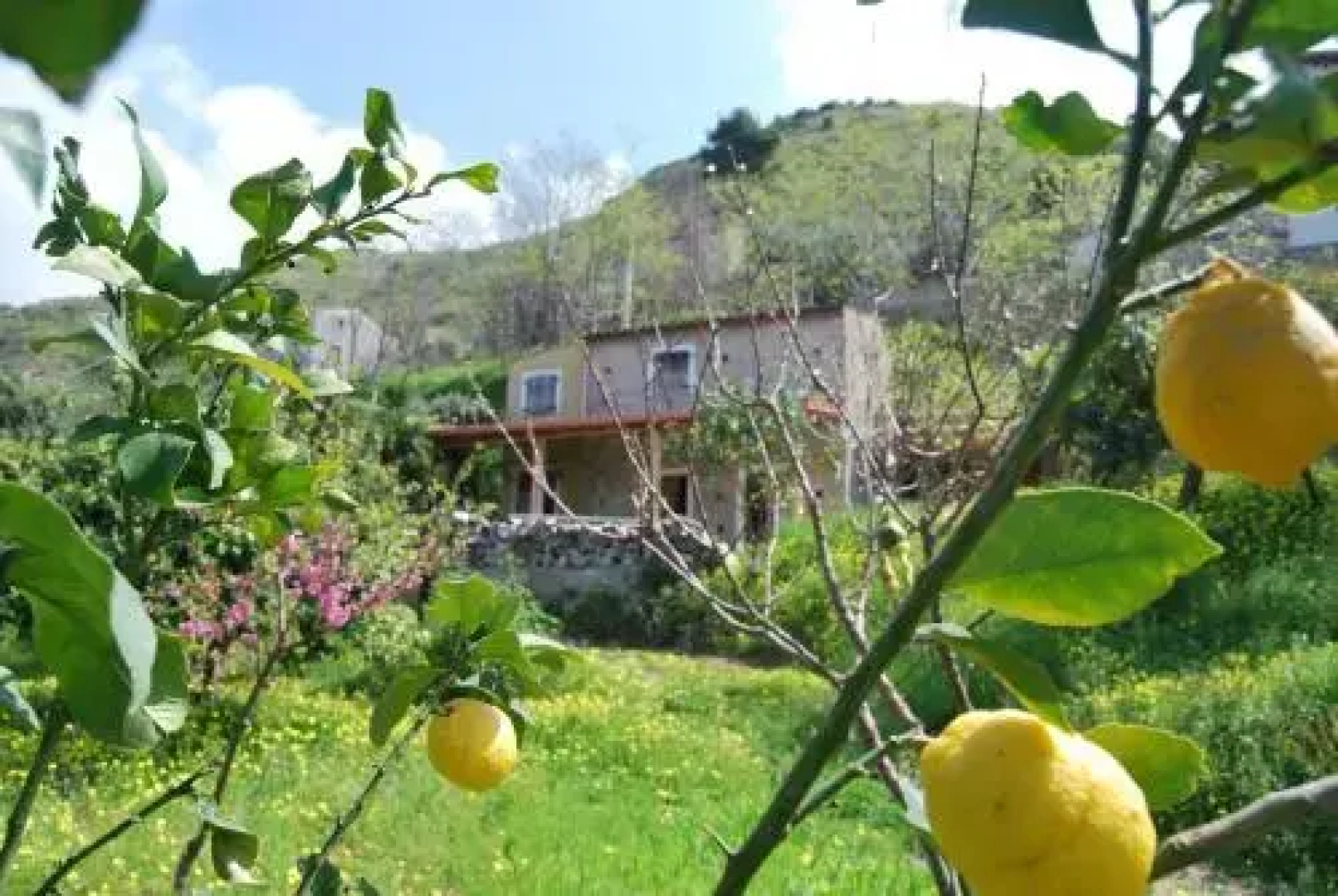 Al Melograno B&B