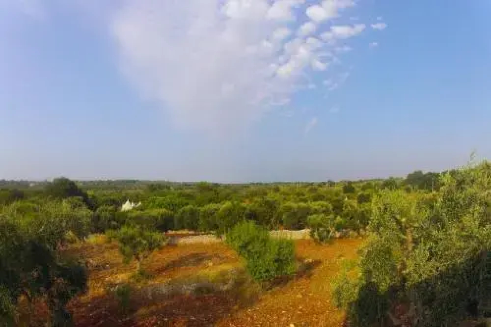 Holiday Homecontrada lamia nuova