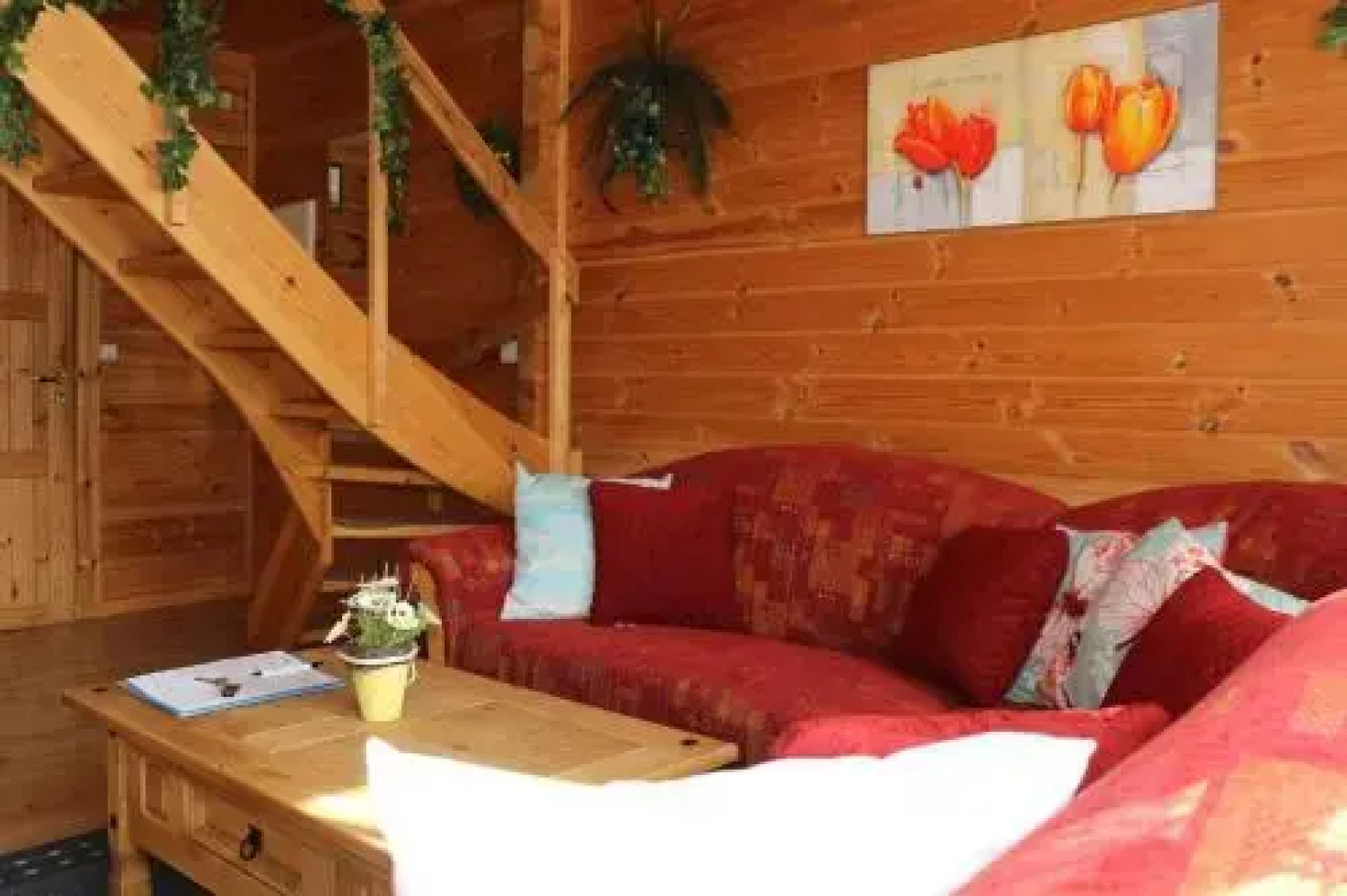 Der-Fuchsbau-Blockhaus-3-Hunde-willkommen