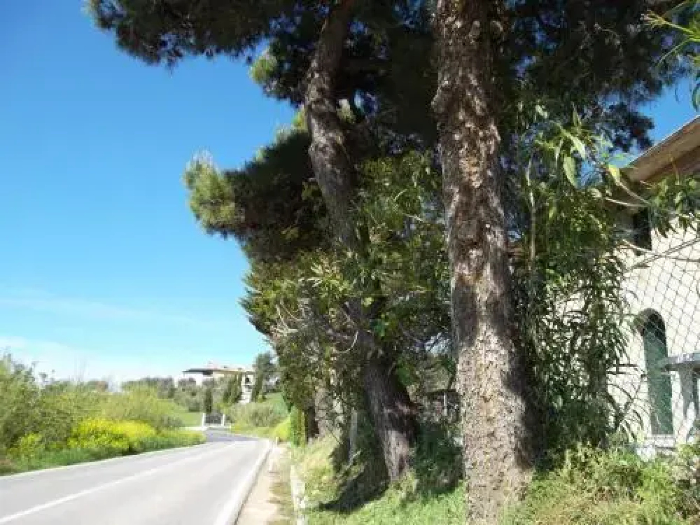 Il Bardo