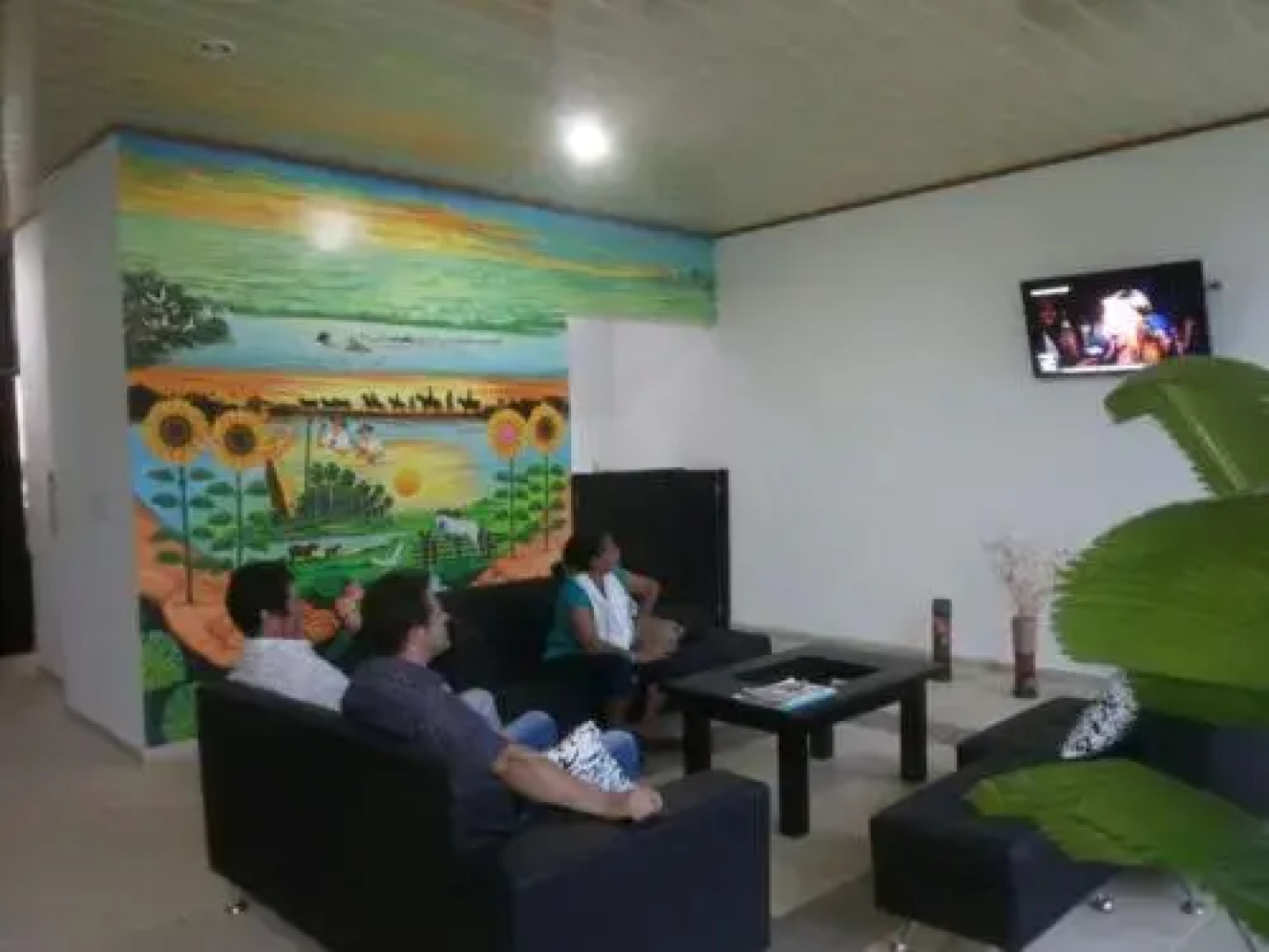 Hotel Orinoquia Real