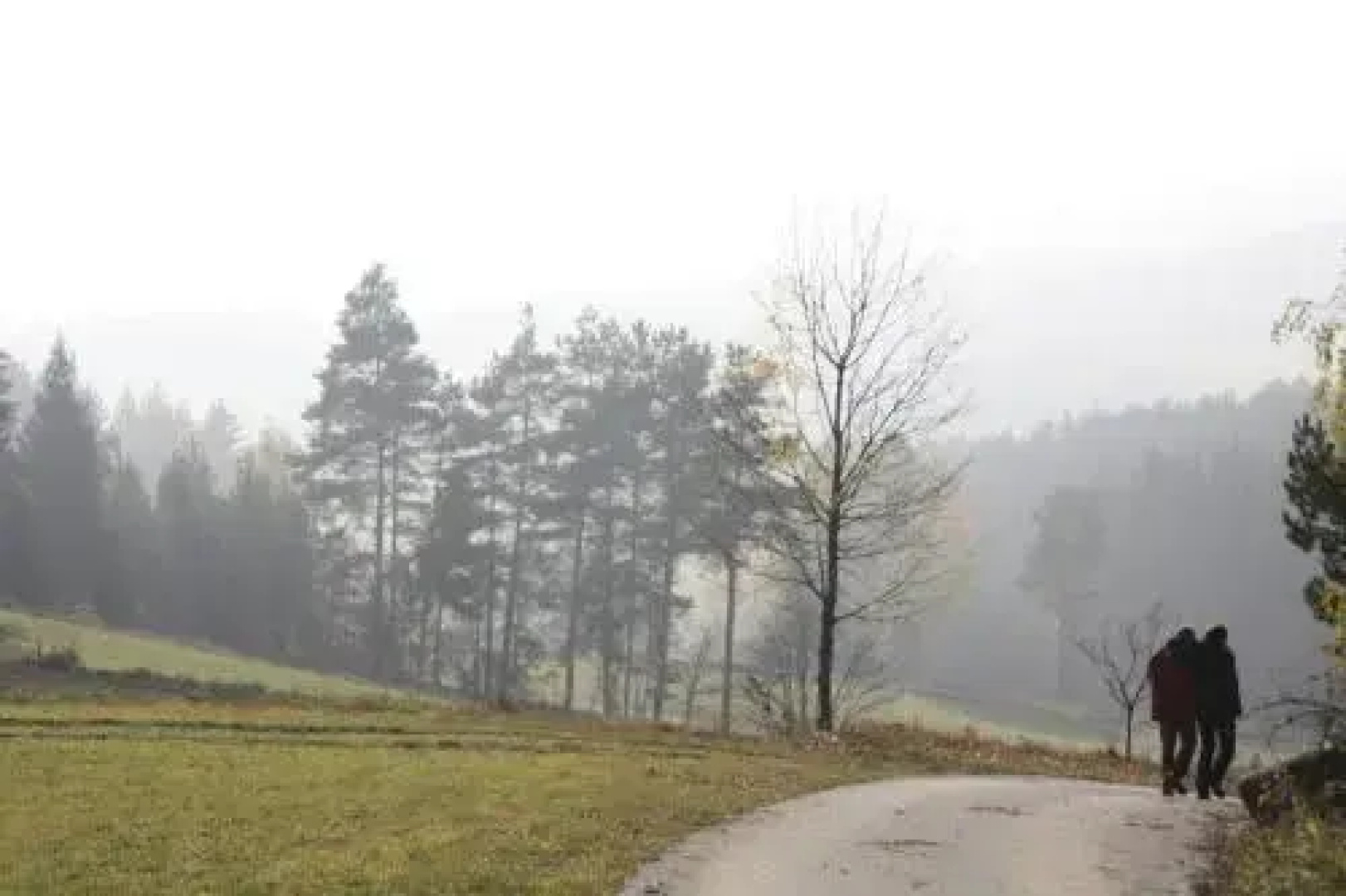 Biohof Besenbäck