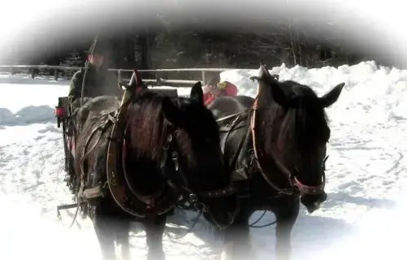 Agriturismo Prati Oitzinger