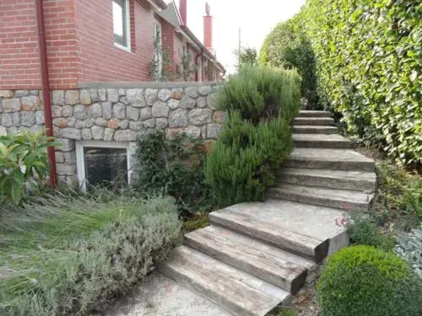 Oaza Inn
