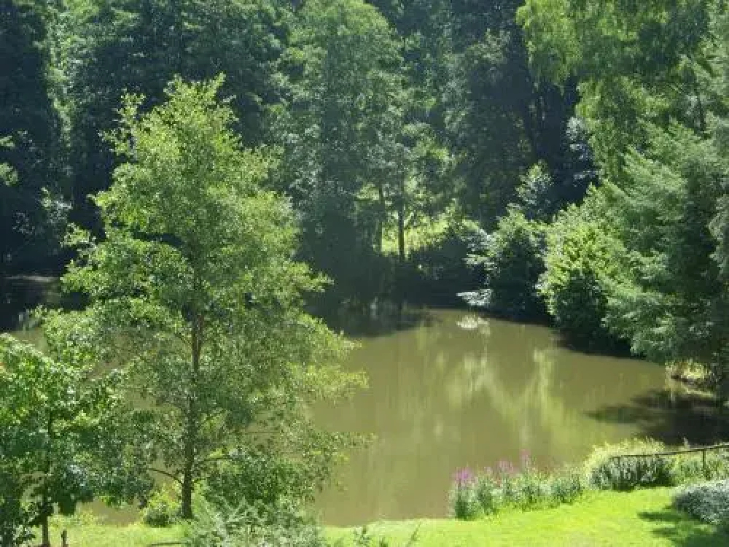 Ferienwohnung Am Waldsee Mit Schwimmbad