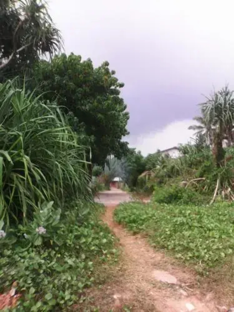 Gami Gedara