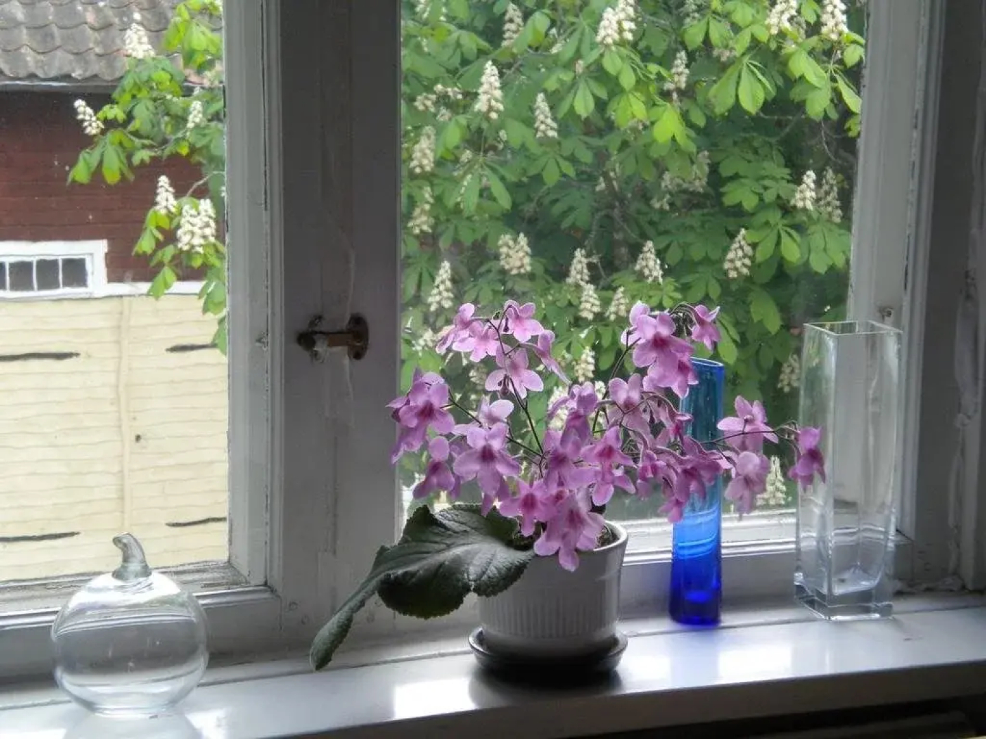 Höganlid Bed & Breakfast