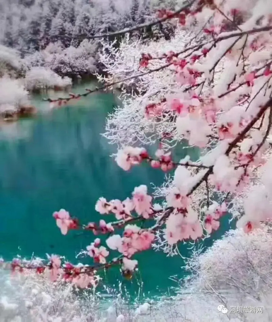 Jiuzhaigou Zhaozilong New Inn