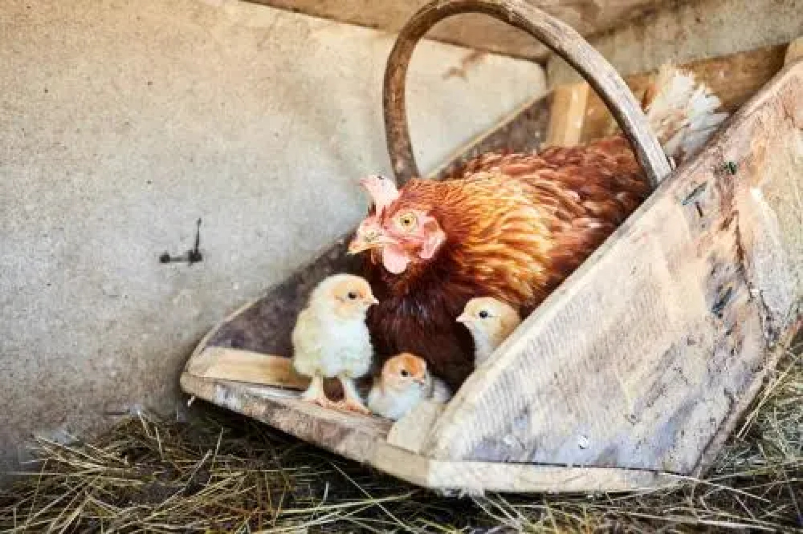 Camping La Grand'Métairie