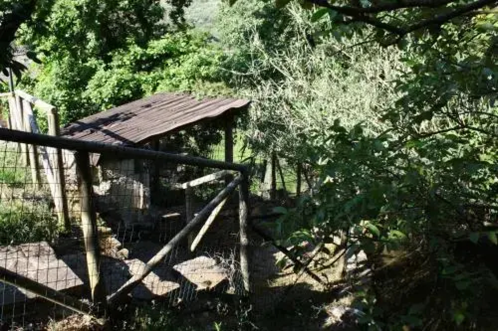 Agriturismo La Mimosa