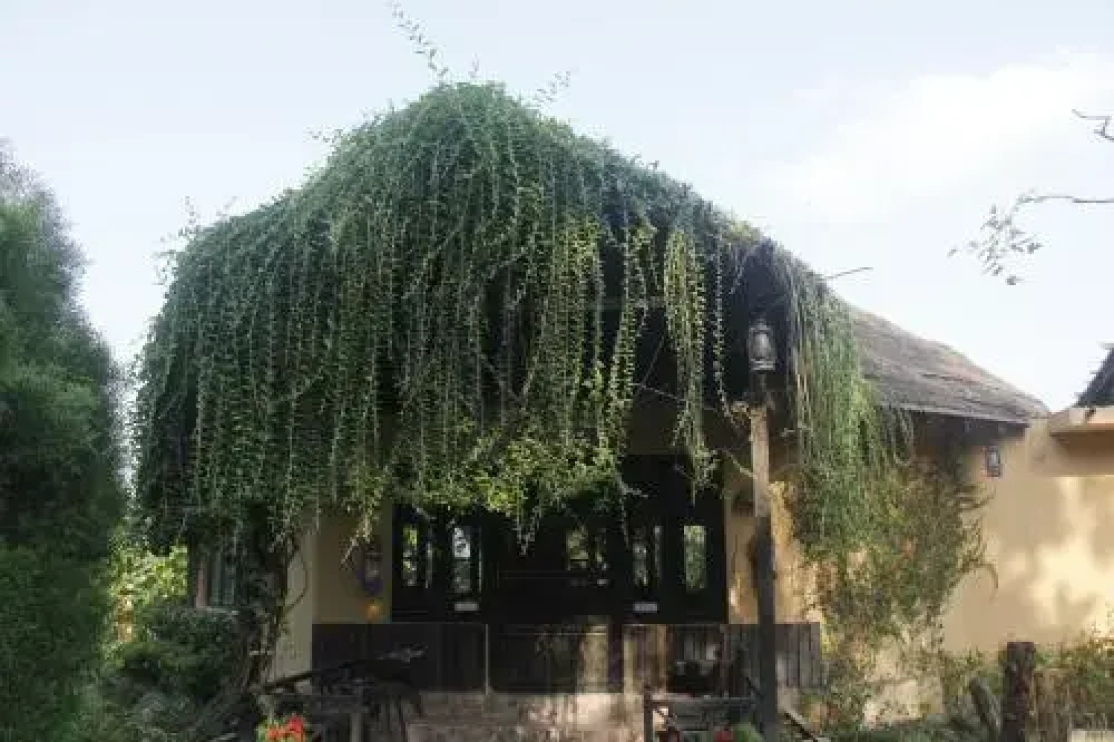 Rhino Lodge Bardia