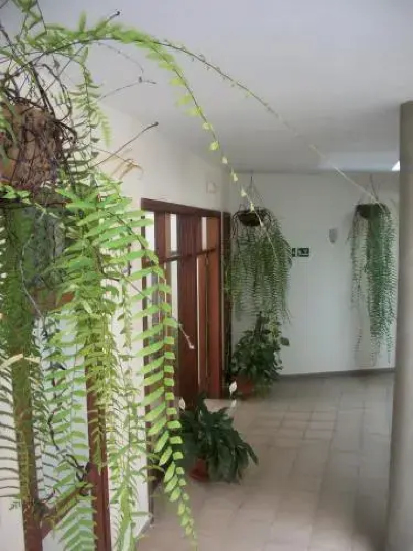 Aparthotel Triana II