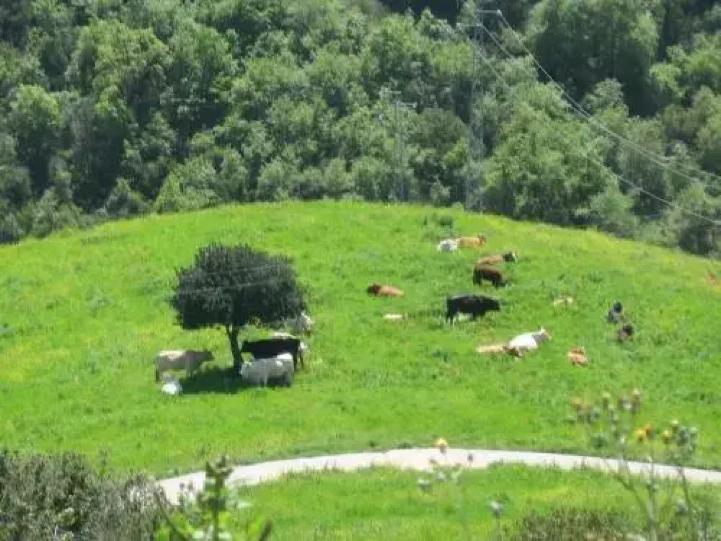 Villa Camino del jabato