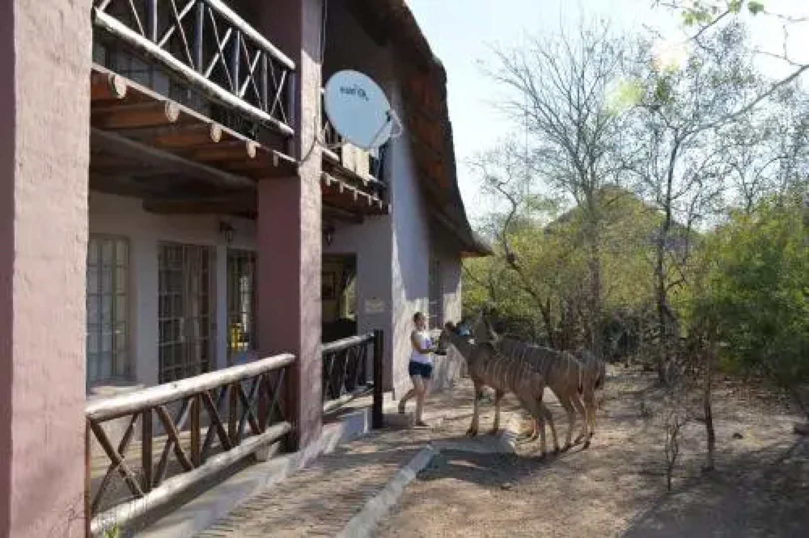 Honey Badger Safari House