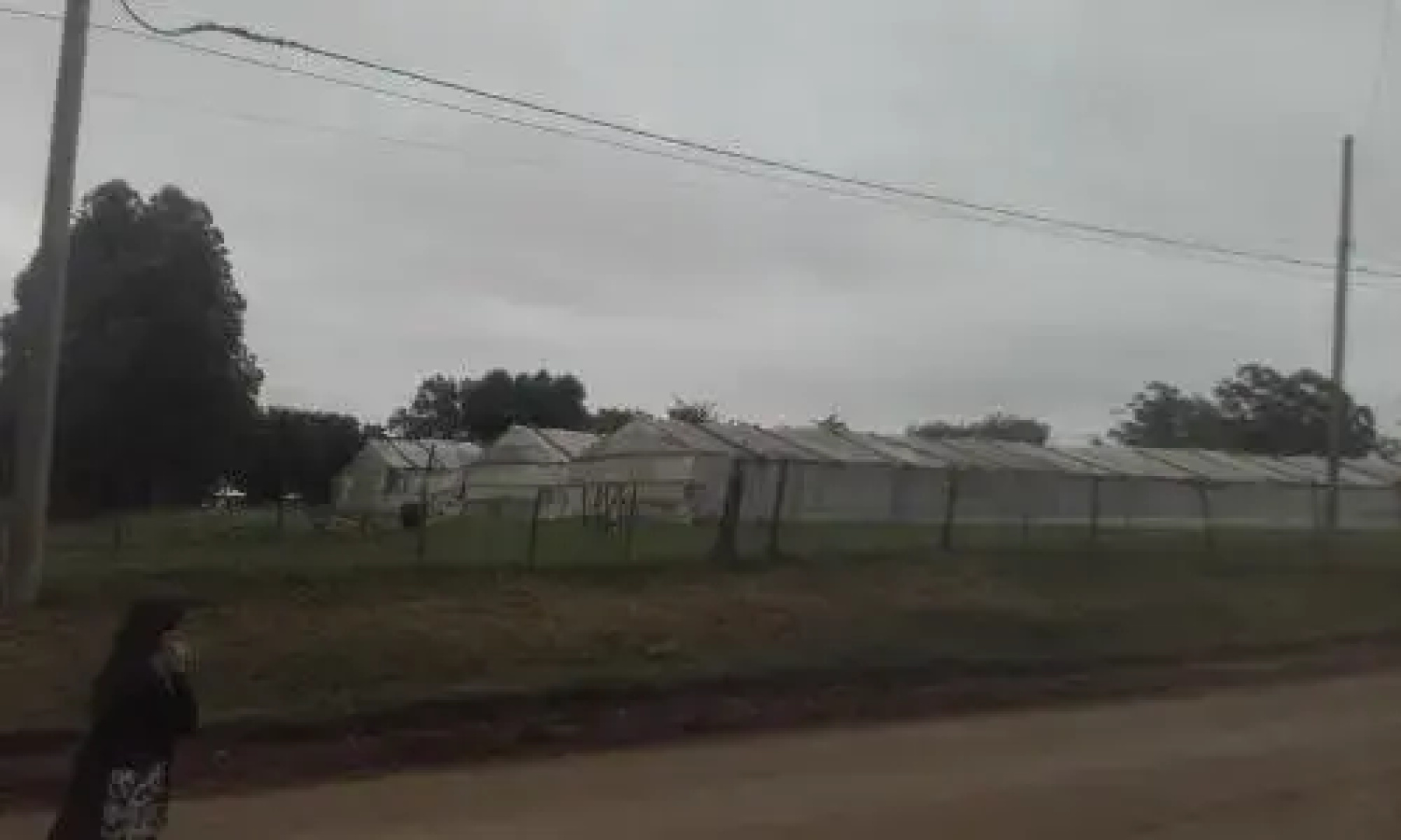 La Casa de los Pinos