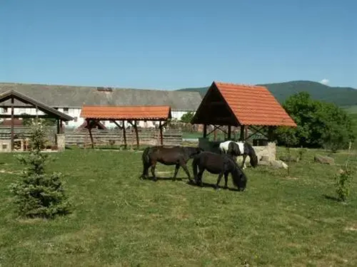 Penzión U bieleho koňa