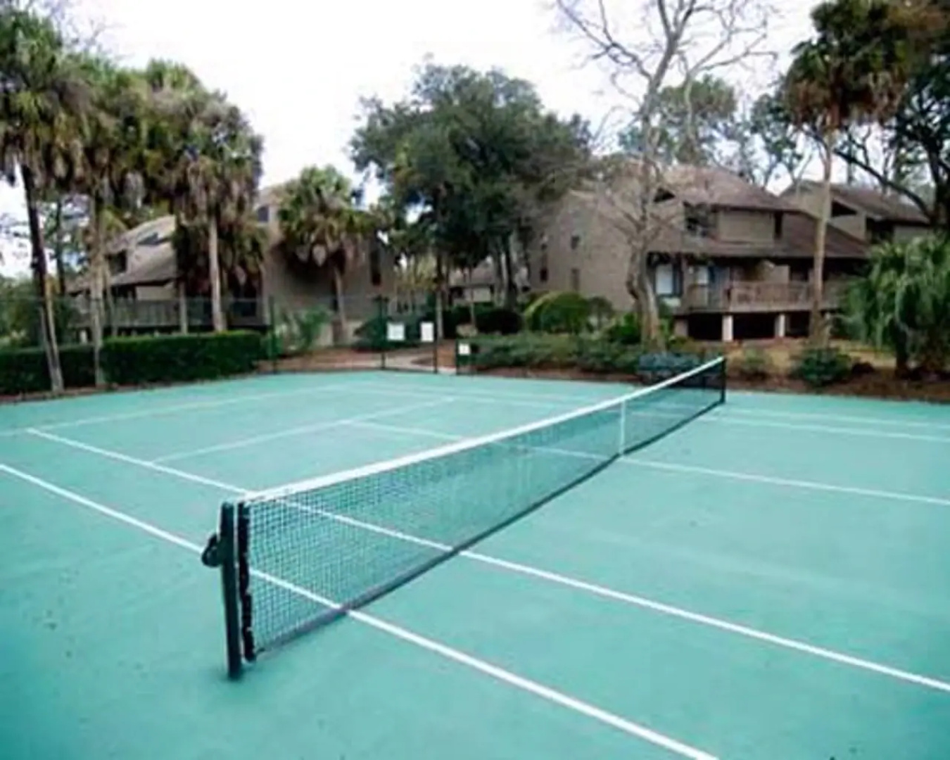 Spicebush at Sea Pines Resort