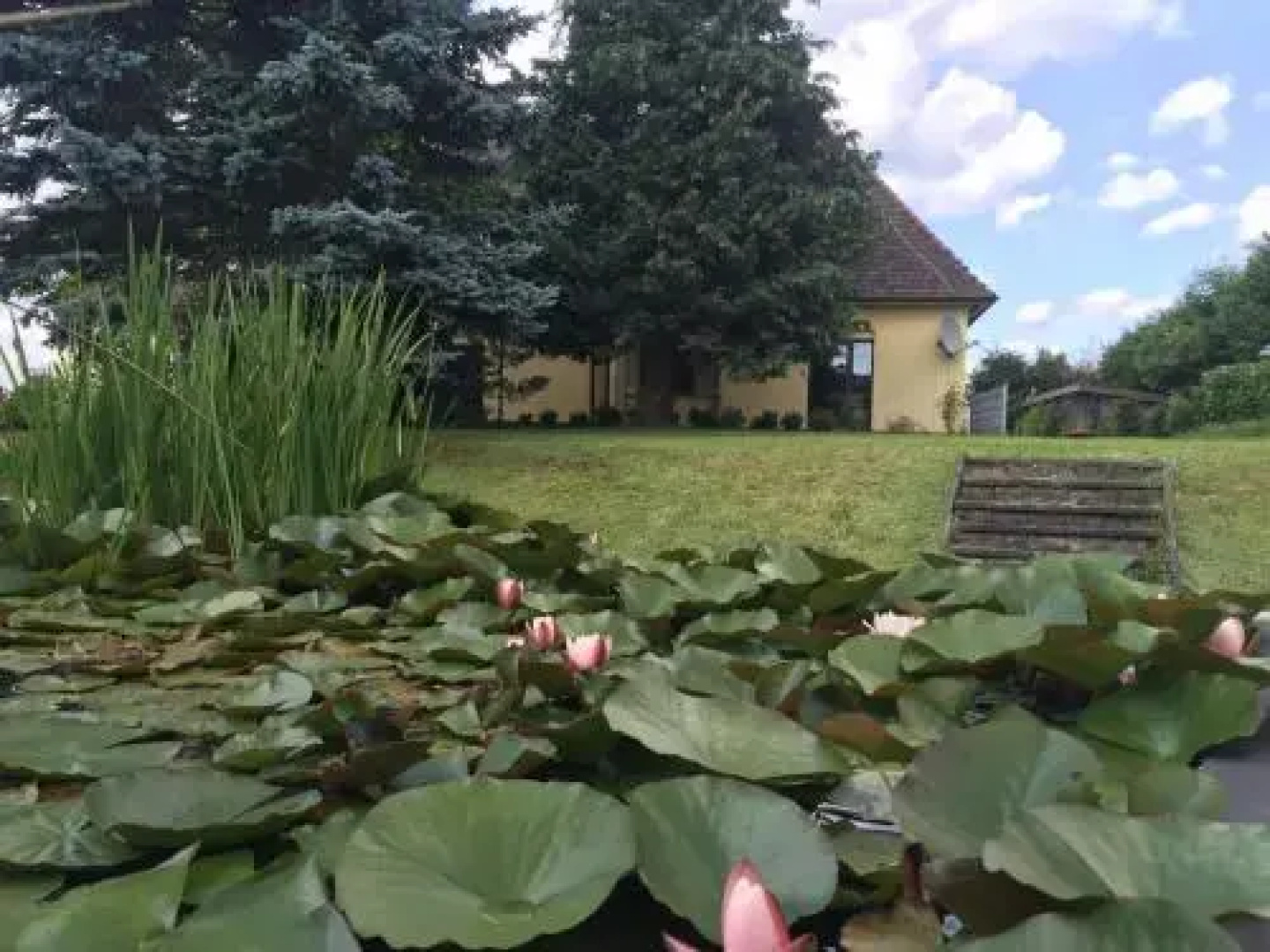 Hotel Hubertus Haus Pflingsteck