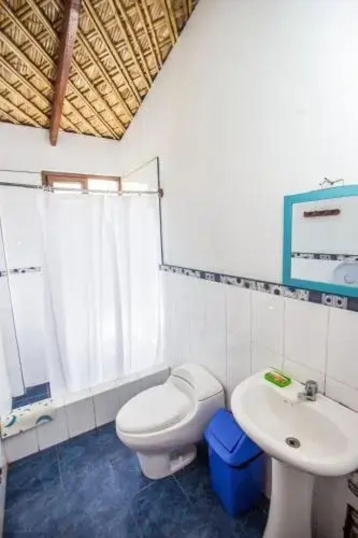 Casa Huerta Jacaranda