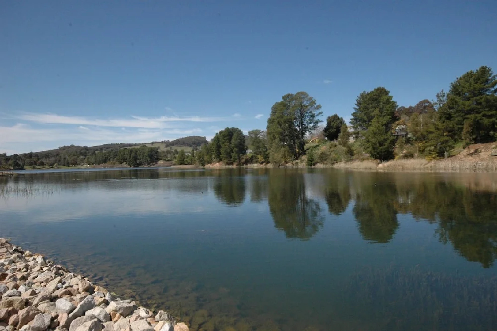 A Fifties Experience