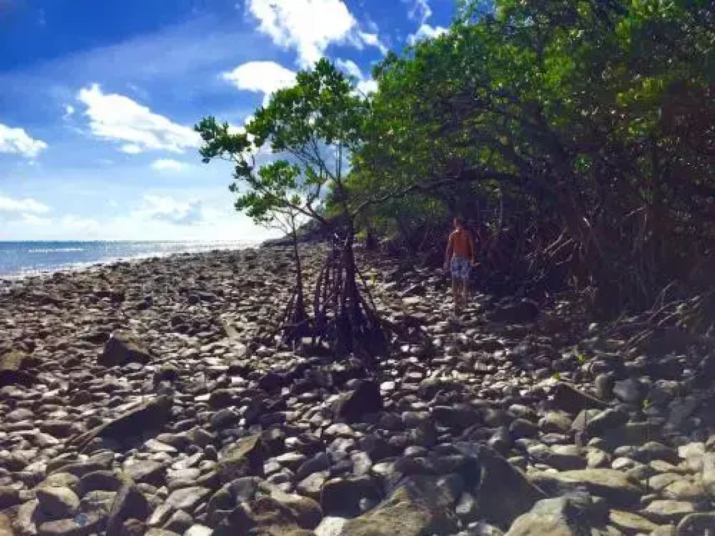 Cape Tribulation Holiday House