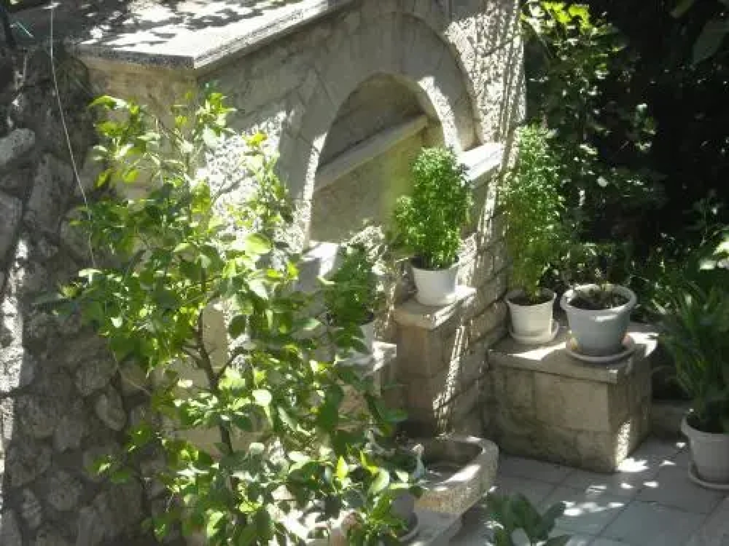 Epavli Antonis