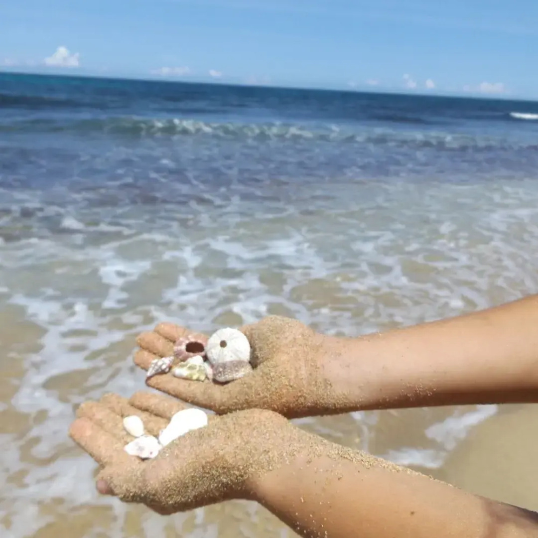 Jobos Beach Apartment