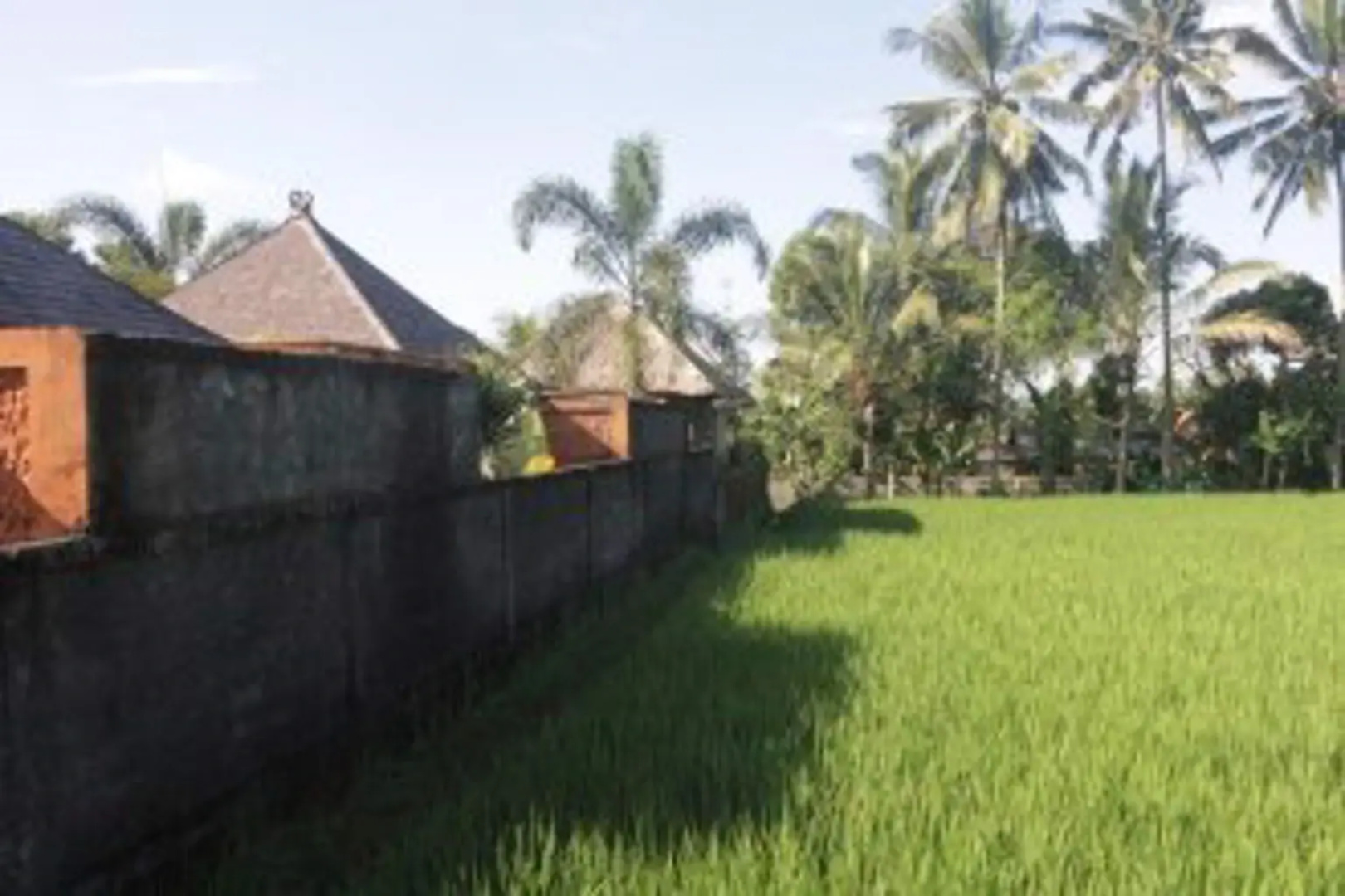 Sangeh Uma Dong Loka Villa