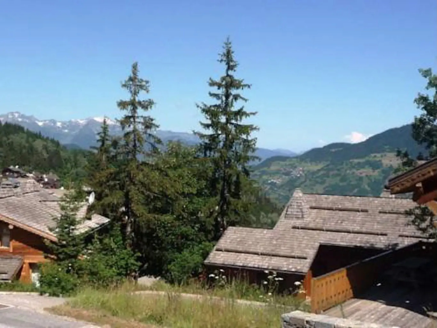 Chalet Carlina