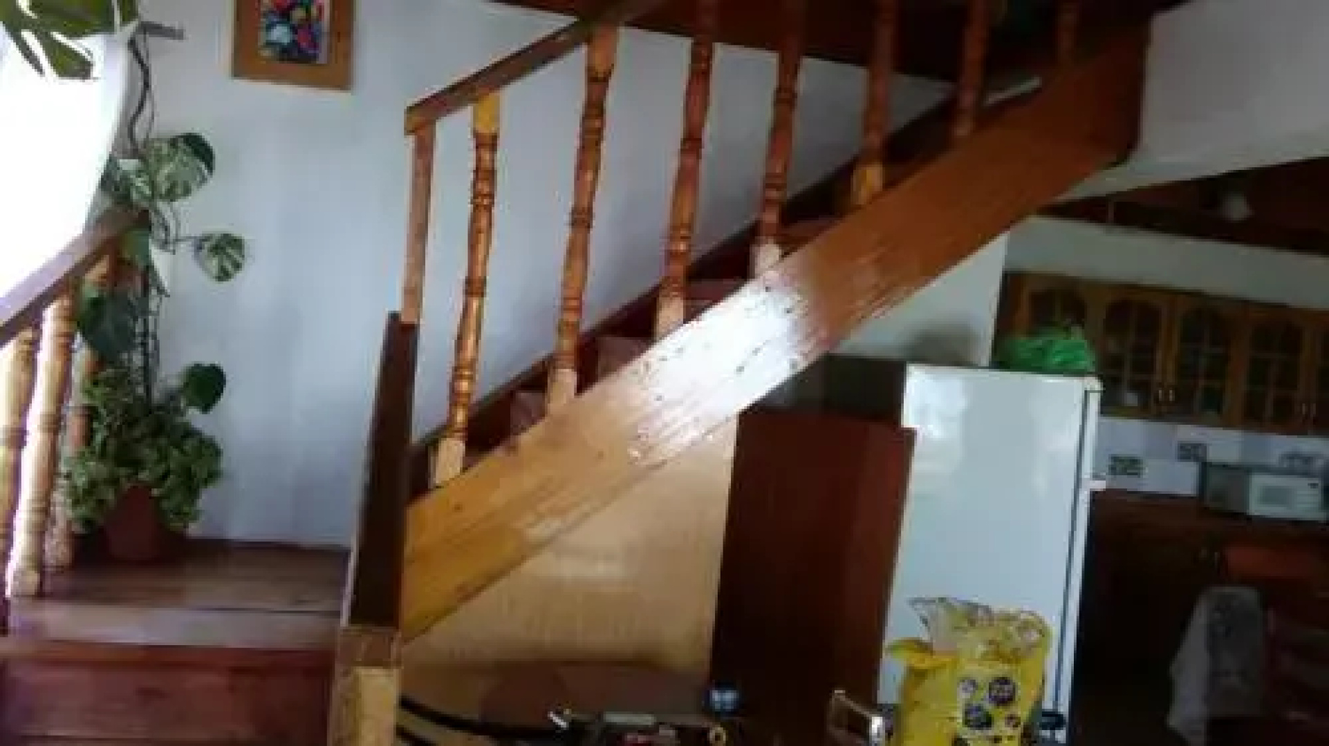 Ruca de Cura