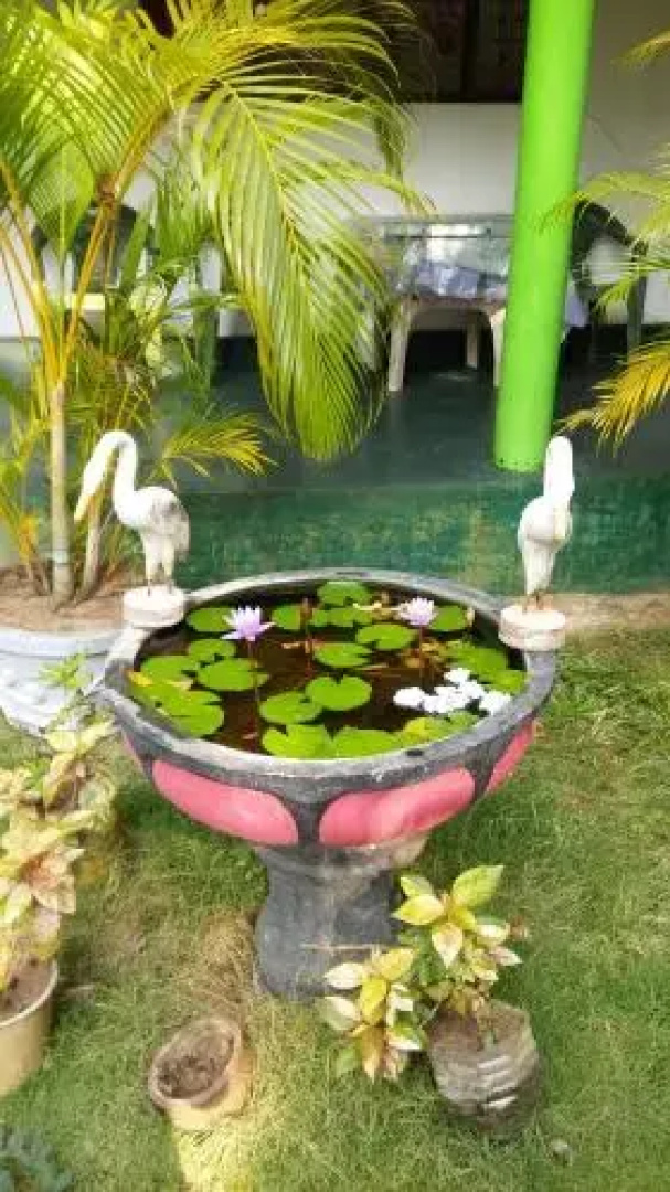 Sigiriya Green Garden Homestay