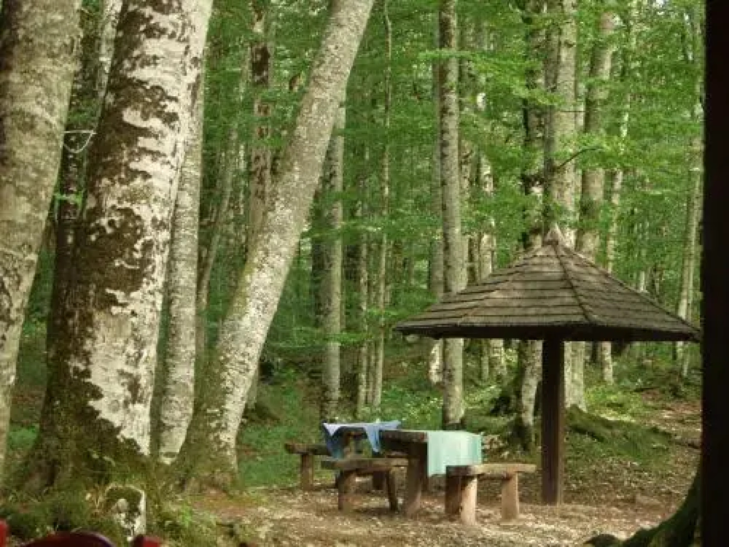 Country House Eco village Ćorić