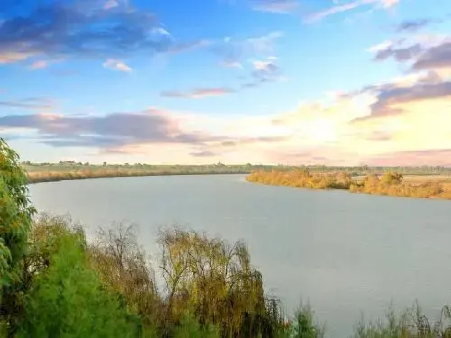 Muse on the Murray - Pet-Friendly