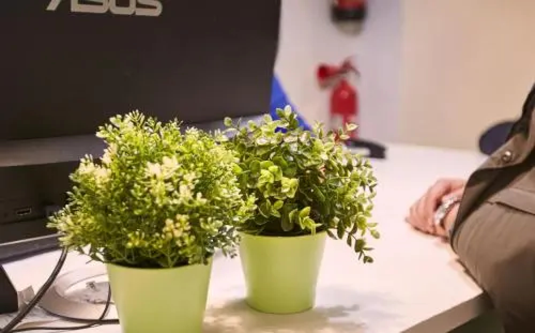 Central and Basic Universitat