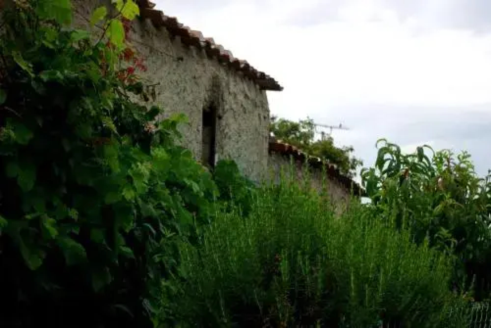 Les Chambres dhôtes Oze