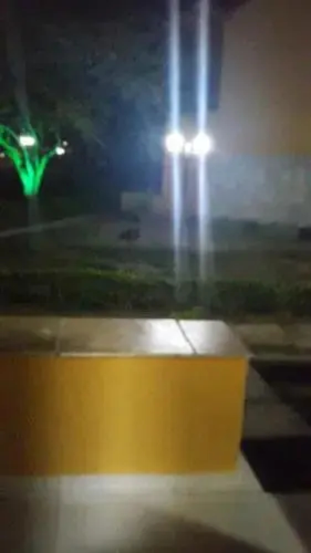 Winterville Gravatá Alpes Suiços