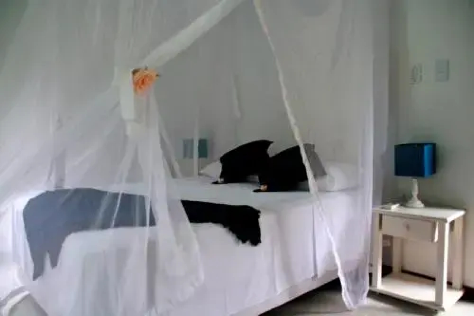 Pousada Jasmim dos Poetas