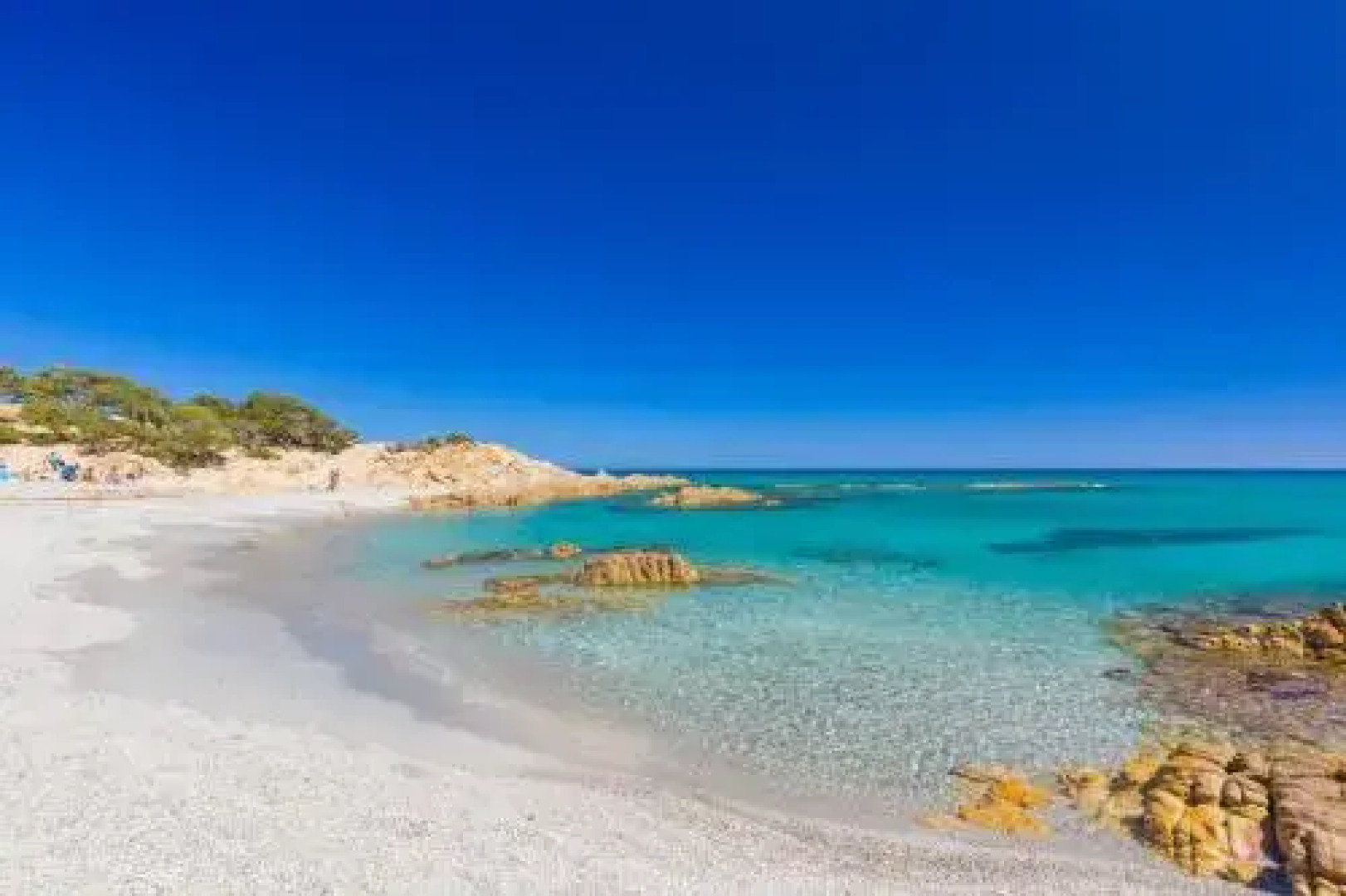 Orosei Home Holidays - I fiori