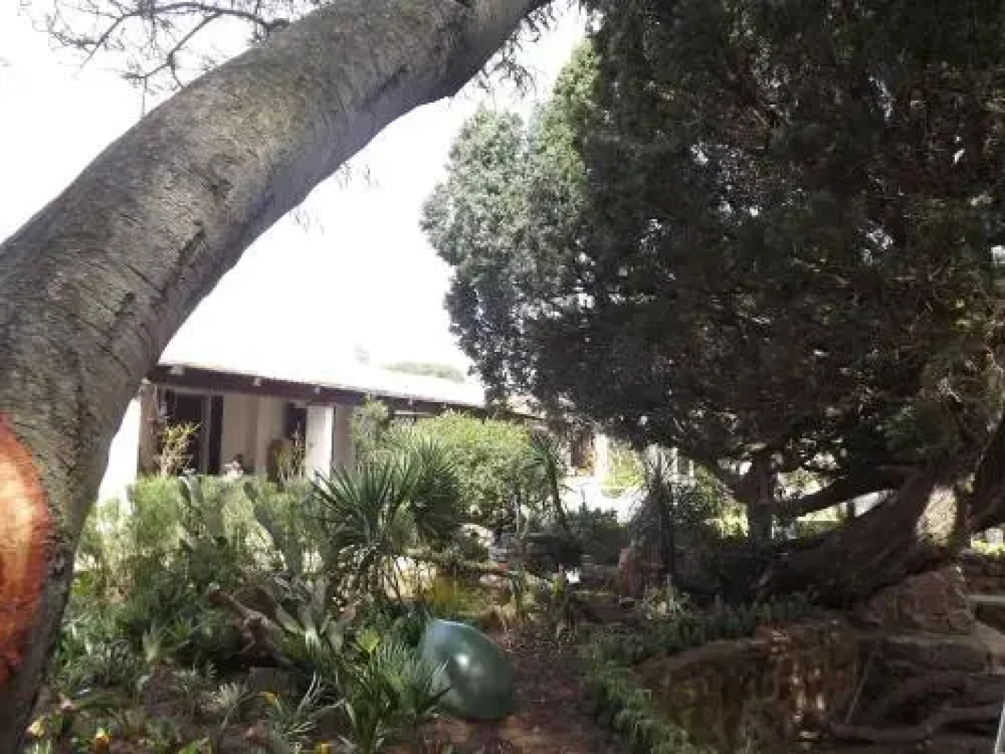 B&B Il Giardino Dacri
