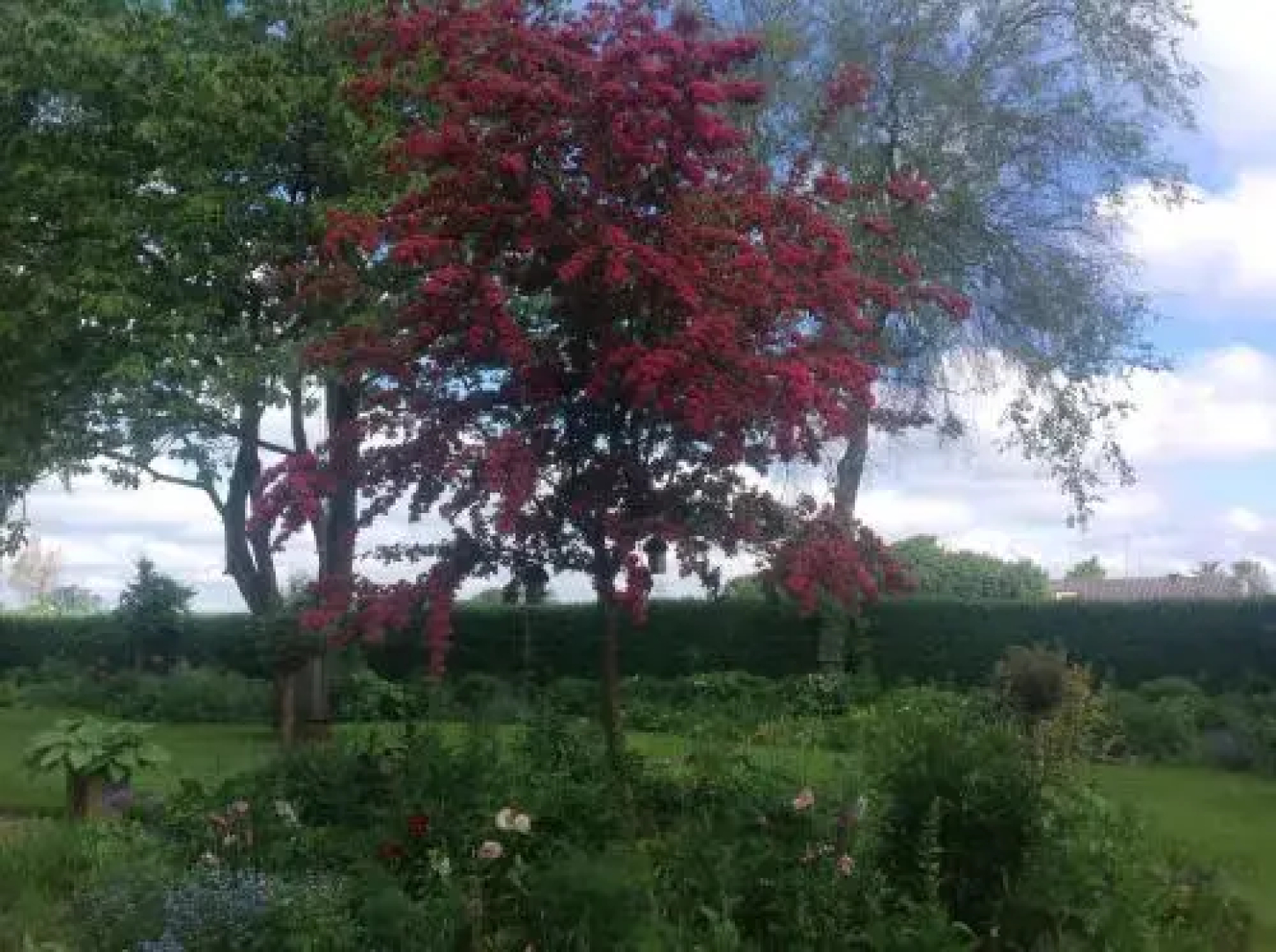 Bed and Breakfast - Stakdelen 47