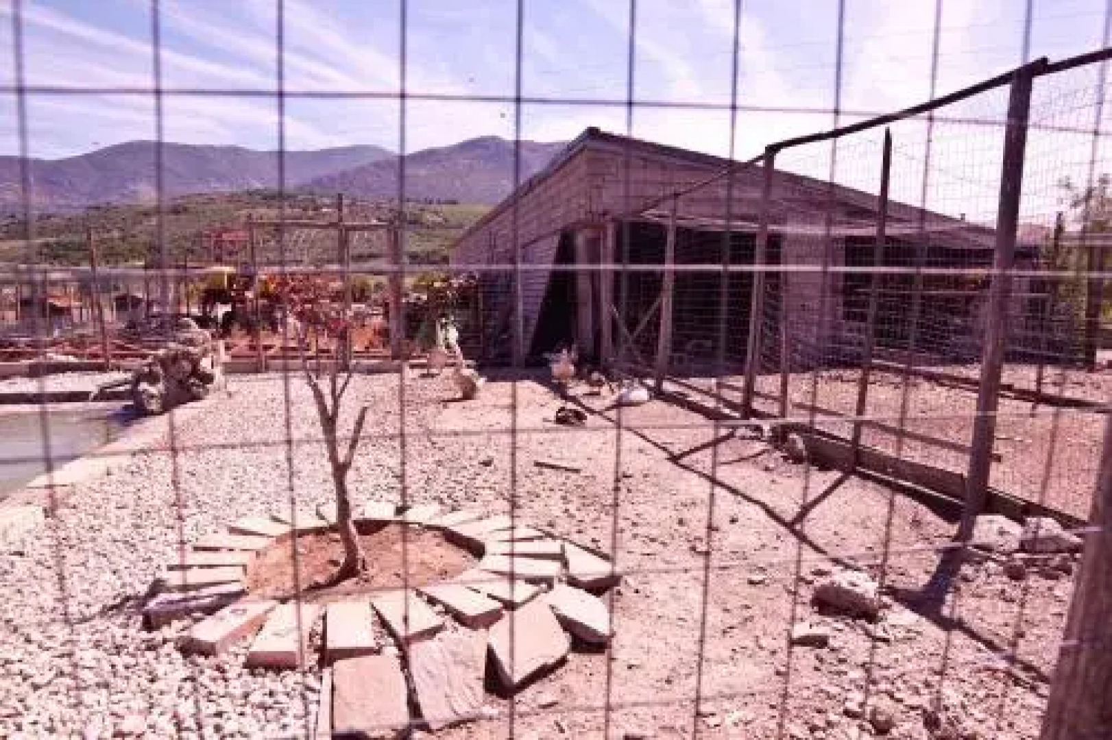 B&B Terre di Paestum