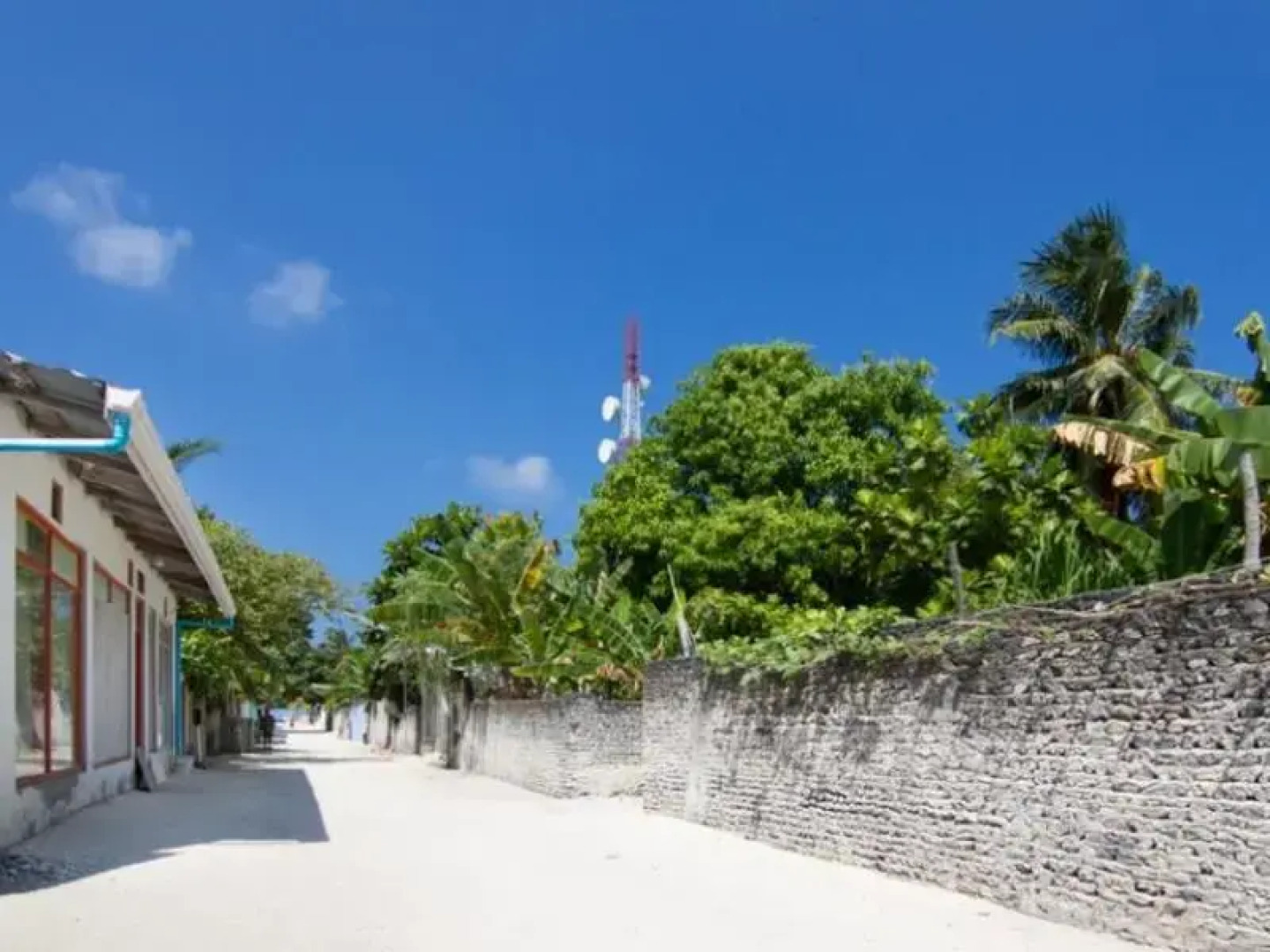 Aligaa Fishing Lodge