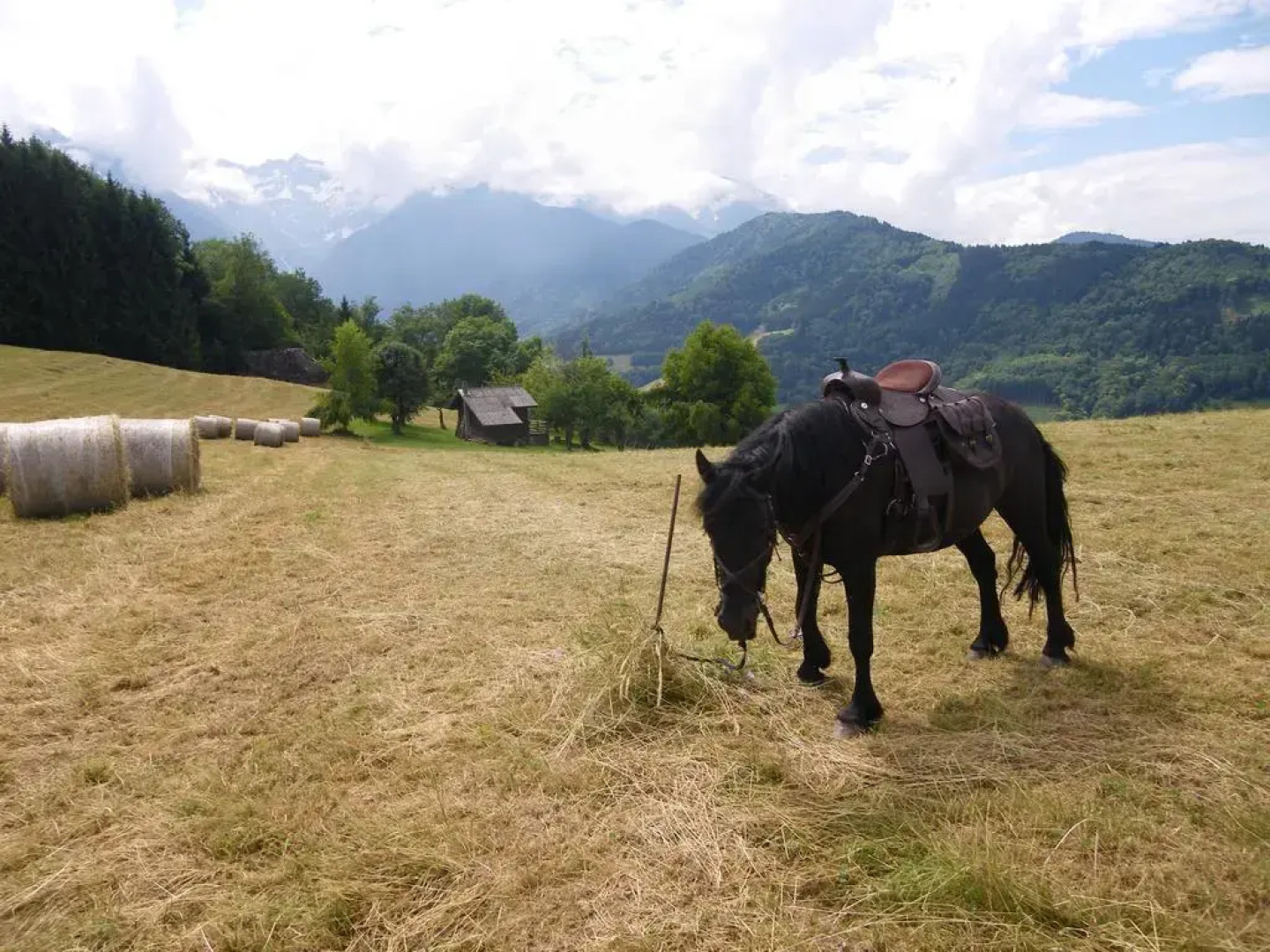 Gîte Le Cerf de Belledonne