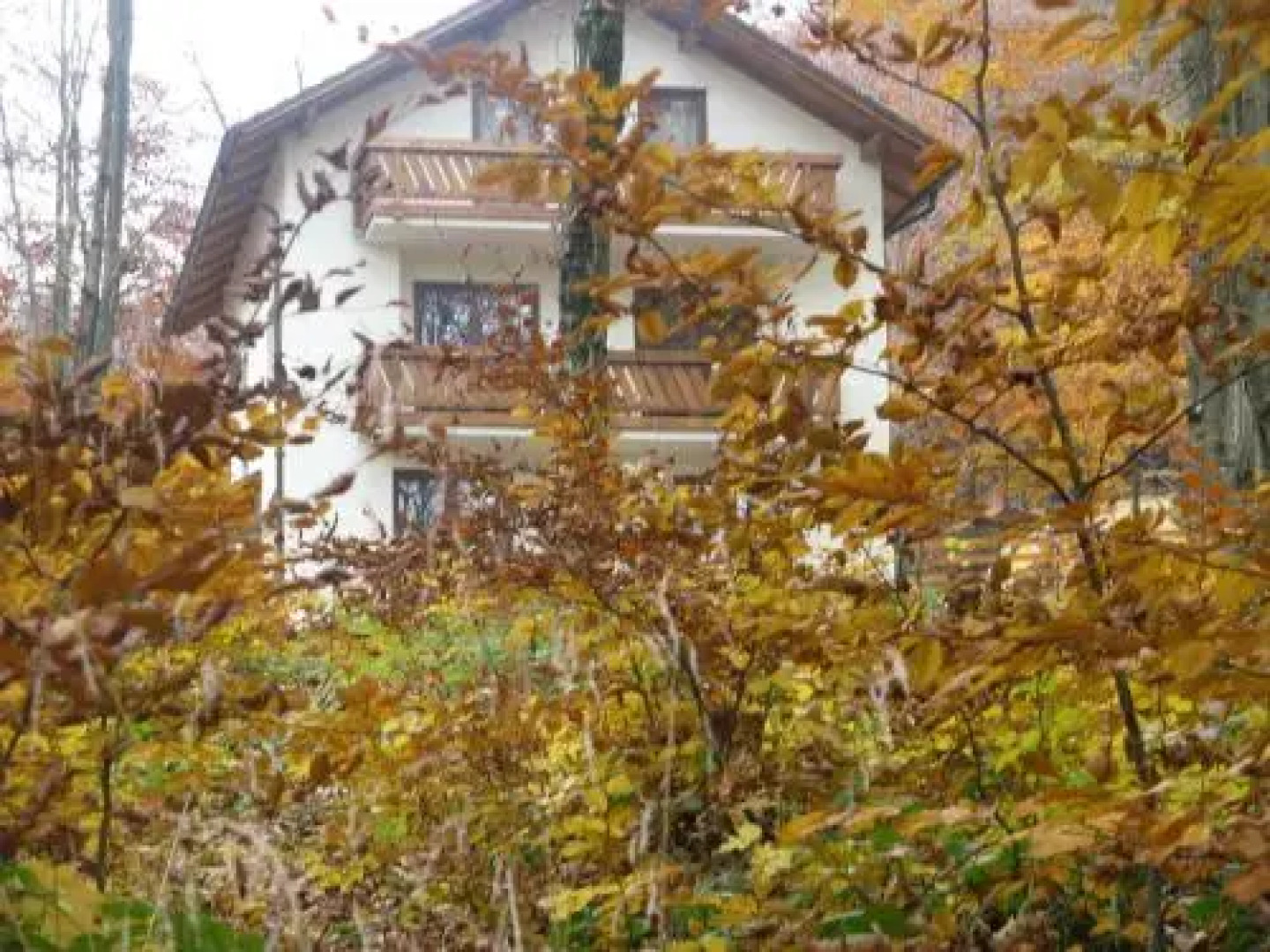 Casa de vacanta Mogosa