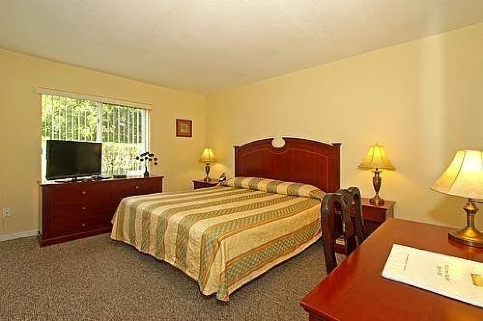 Shamrock Rentals of South Florida