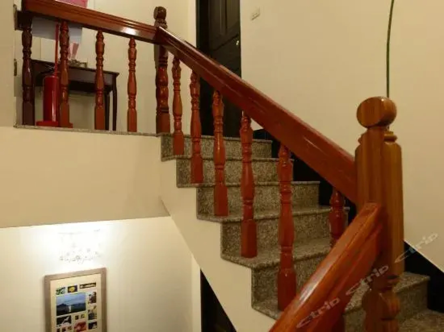 Travel Bird Bed And Breakfast